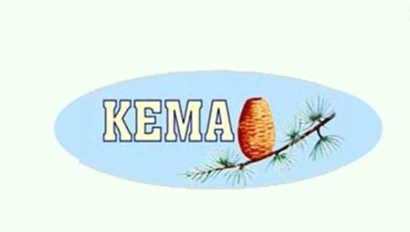 KEMA Foundation calls for action against pine processionary beetle problem