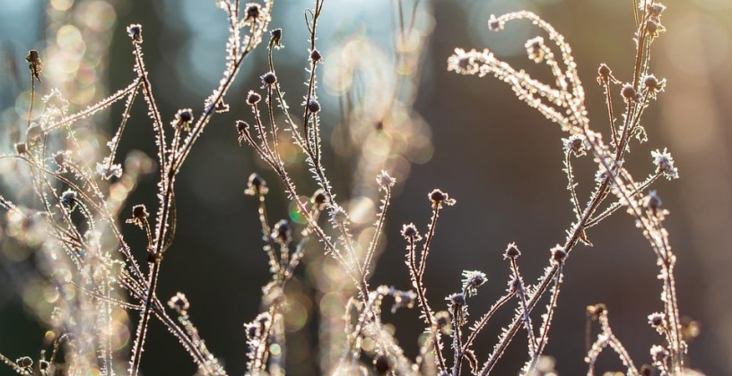 Today’s Weather: Sunny to start, cold spell moving in