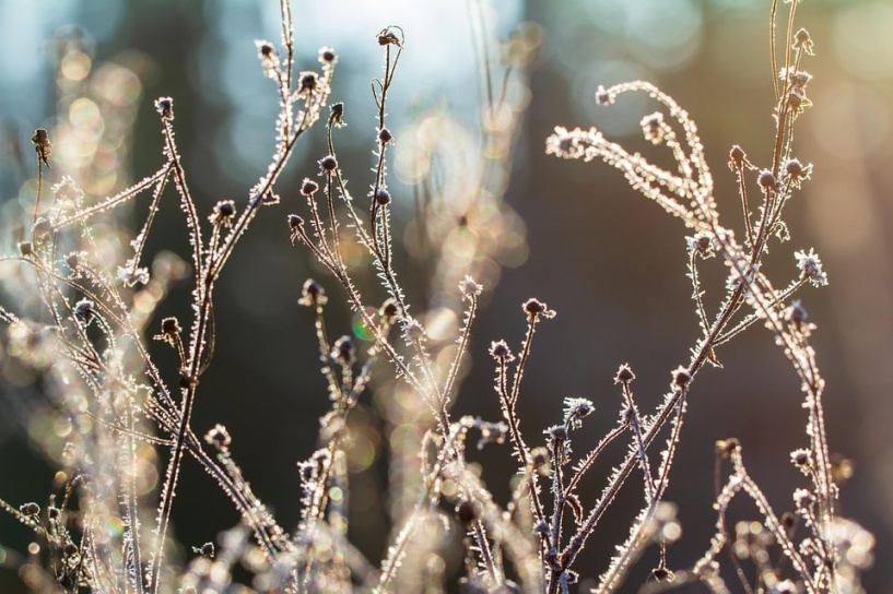 Today’s Weather: Sunny to start, cold spell moving in